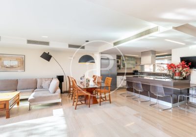 42260_171284207063860