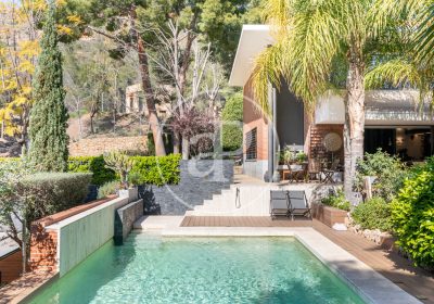 58709_17436071250161221